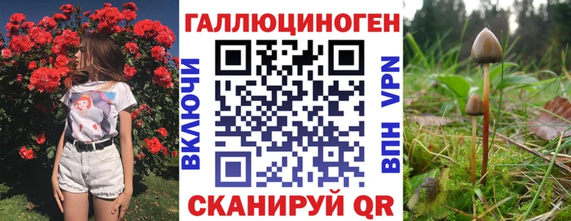 Псилоцибиновые грибы прущие грибы где купить наркоту Шуя